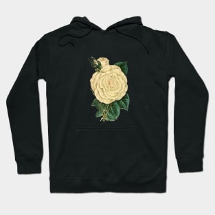 Vintage Rose Hoodie